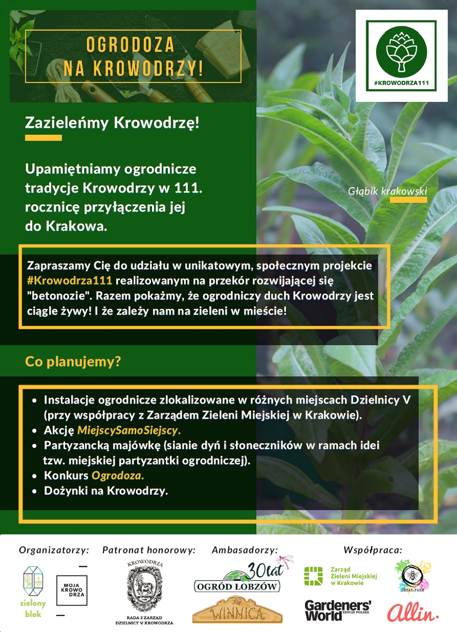 #Krowodrza111 ulotka