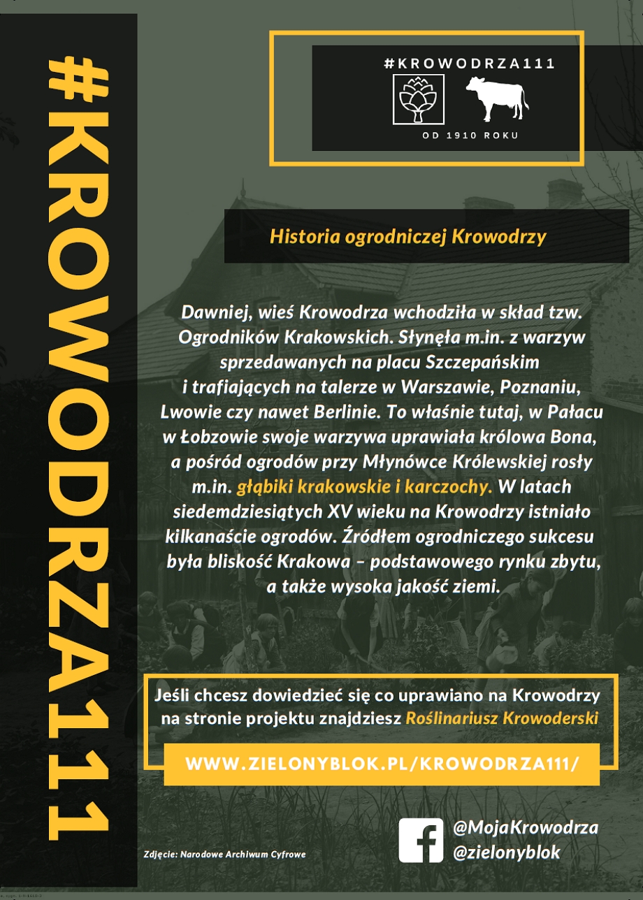 #Krowodrza111 - ulotka