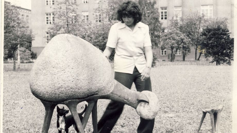 przed rolniczą 1976 r