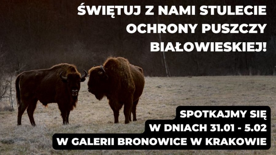 Świętuj 100 lat ochrony Puszczy Białowieskiej w Galerii Bronowice