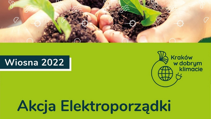Akcja Elektroporządki