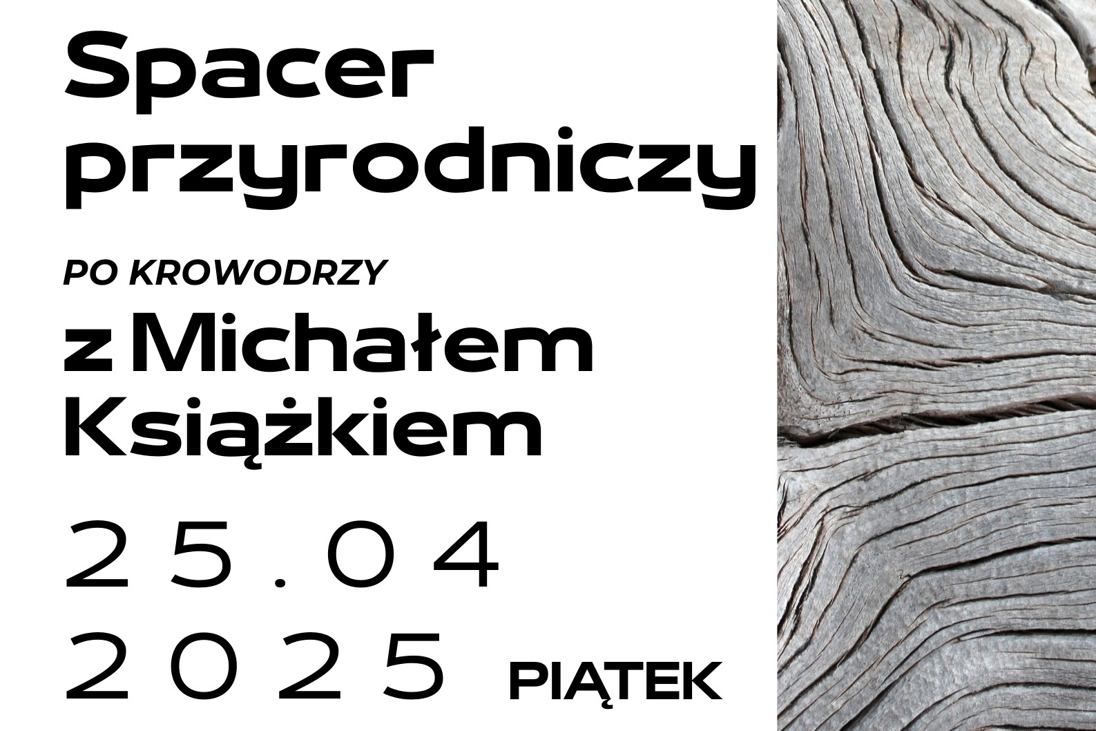 Spacer przyrodniczy po Krowodrzy z Michałem Książkiem